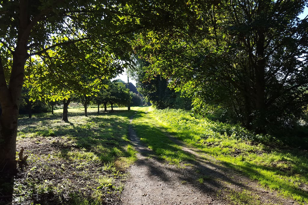 Votre arrivée à la propriété: un chemin bordé de pommiers