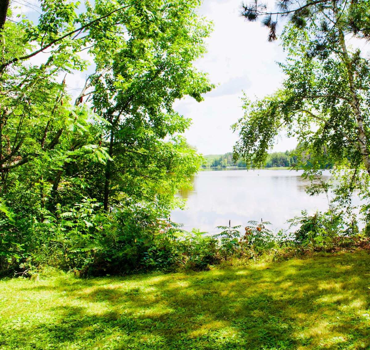 A serene view of Wilson Lake is captured through a lush frame of greenery. Bright green grass leads up to the water's edge, where trees provide a natural border. The tranquil surface of the lake reflects the surrounding landscape under a clear sky.