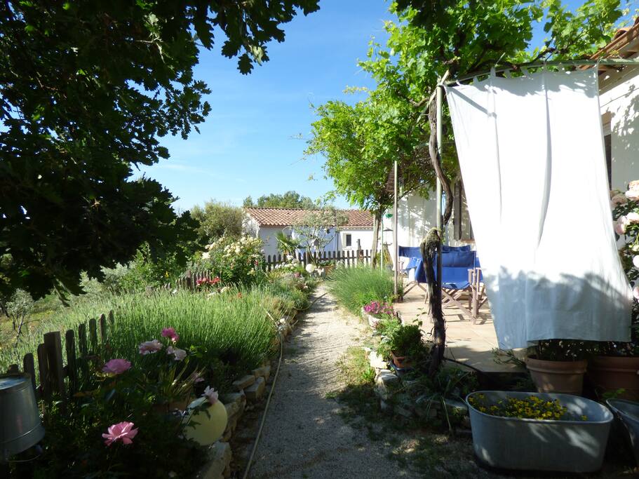 Vue sur le jardin