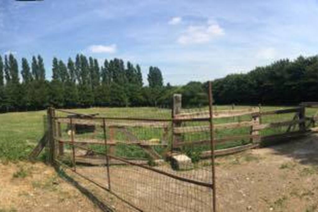 les espaces animaliers de l'écrin de verdure