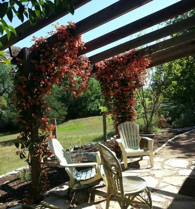 Springtime in the garden.