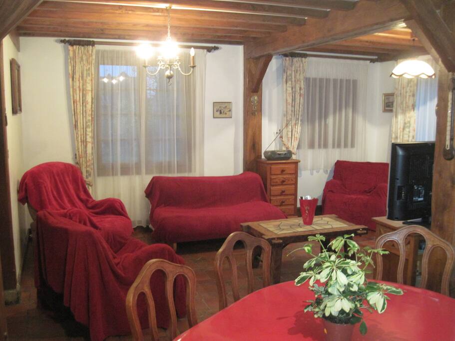 salle et salon de 30m²