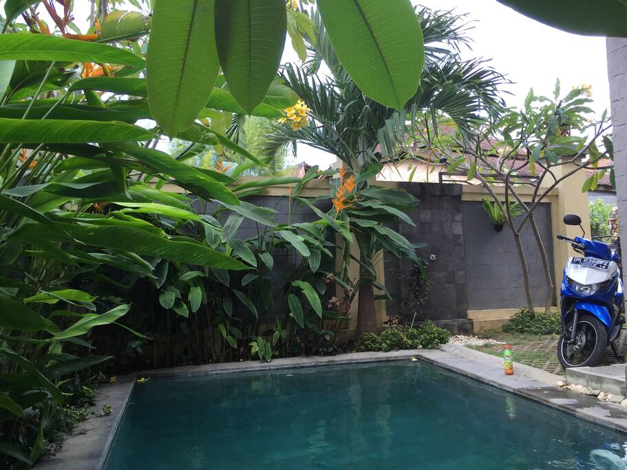 pool from kitchenside