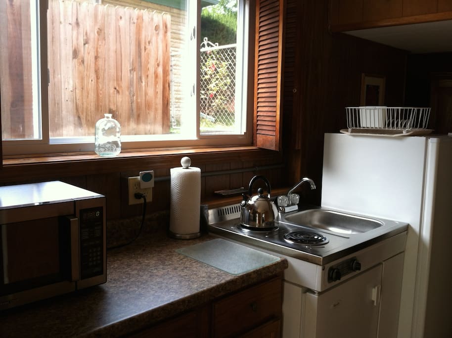 Kitchen with microwave, 2 burners, and fridge.