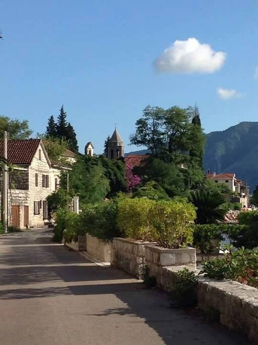 Ljuta, Kotor