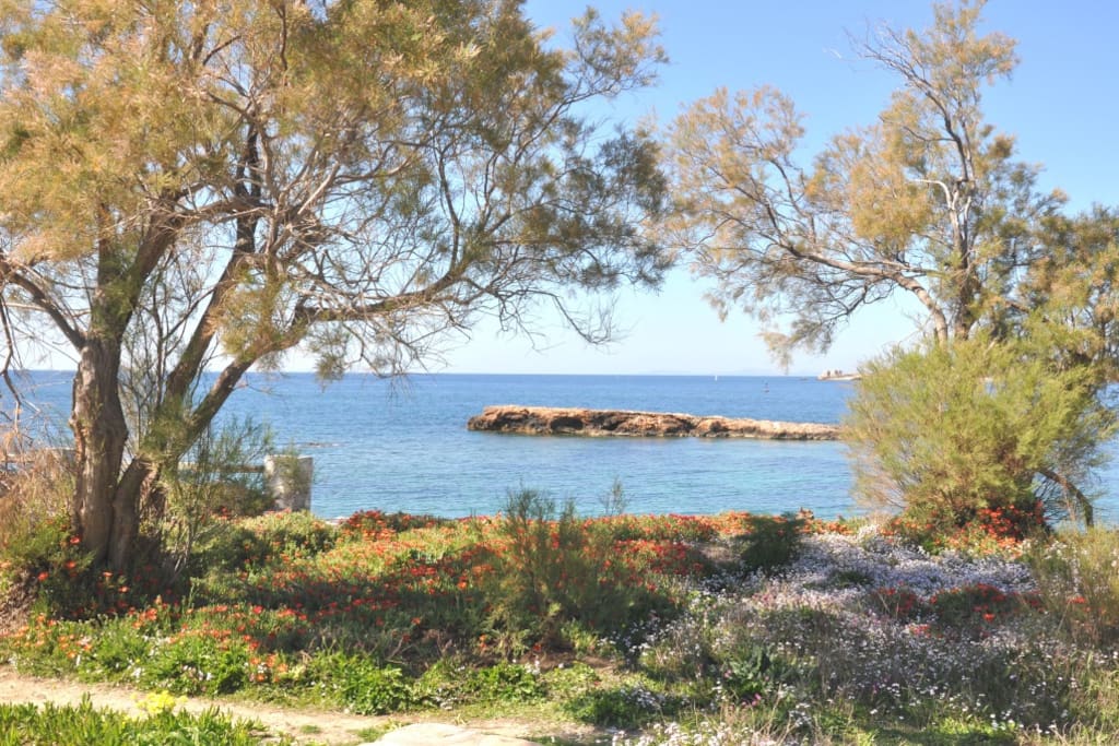 Unsere private Insel, ideal als Schwimmziel und zum Umrunden