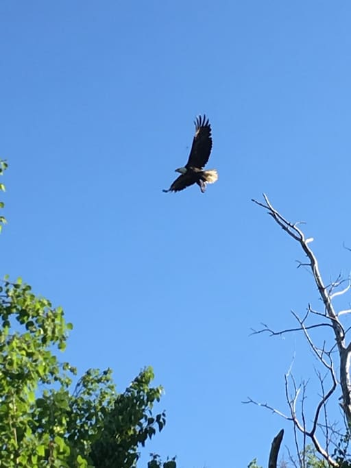 One of the locals