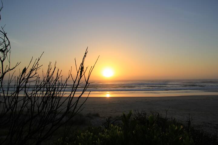 Family Style House at Suffolk/Byron gallery image 2