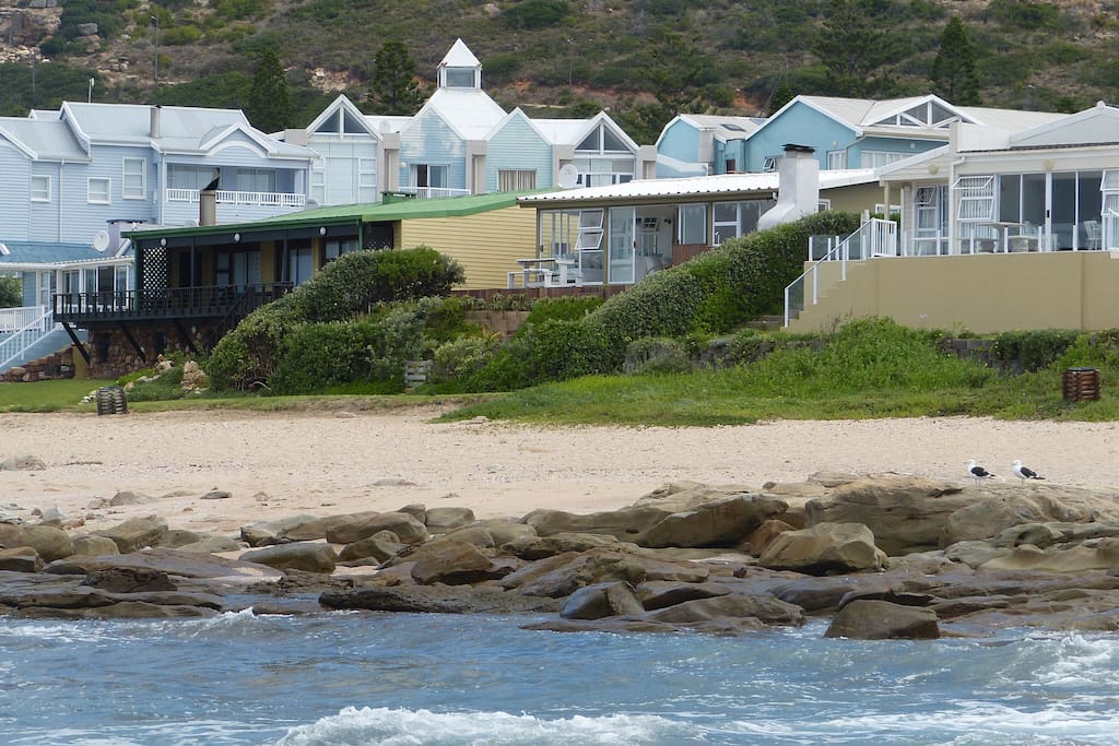 Dolphins view of the house