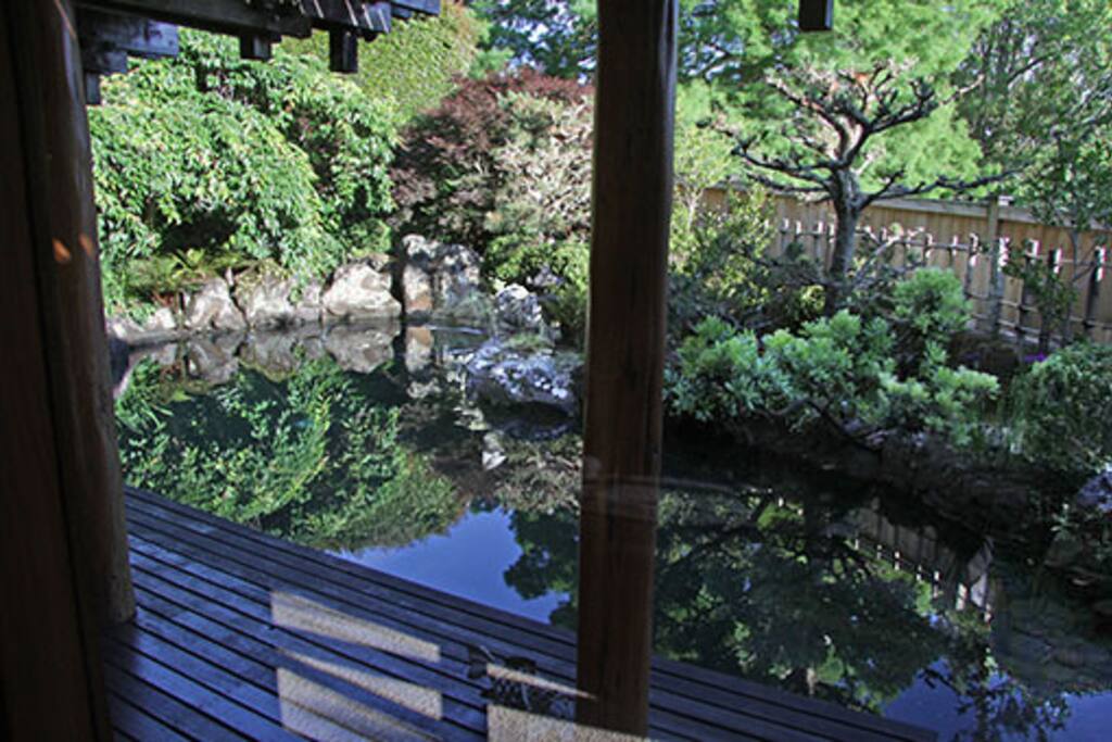 'Natural' Swimming pool