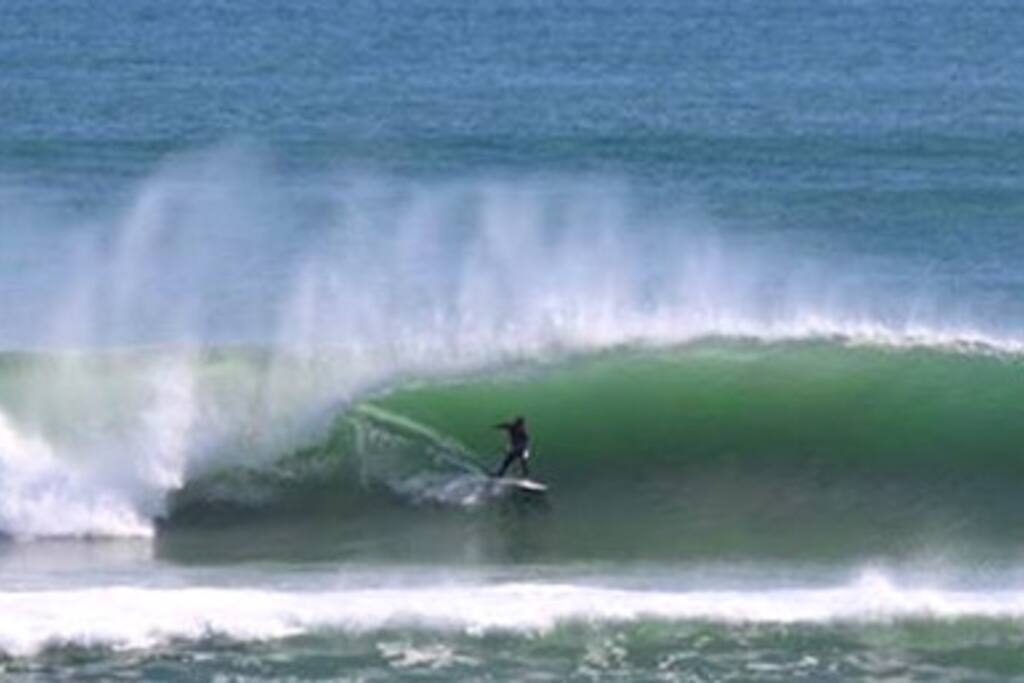 Local Falcon Surf Break