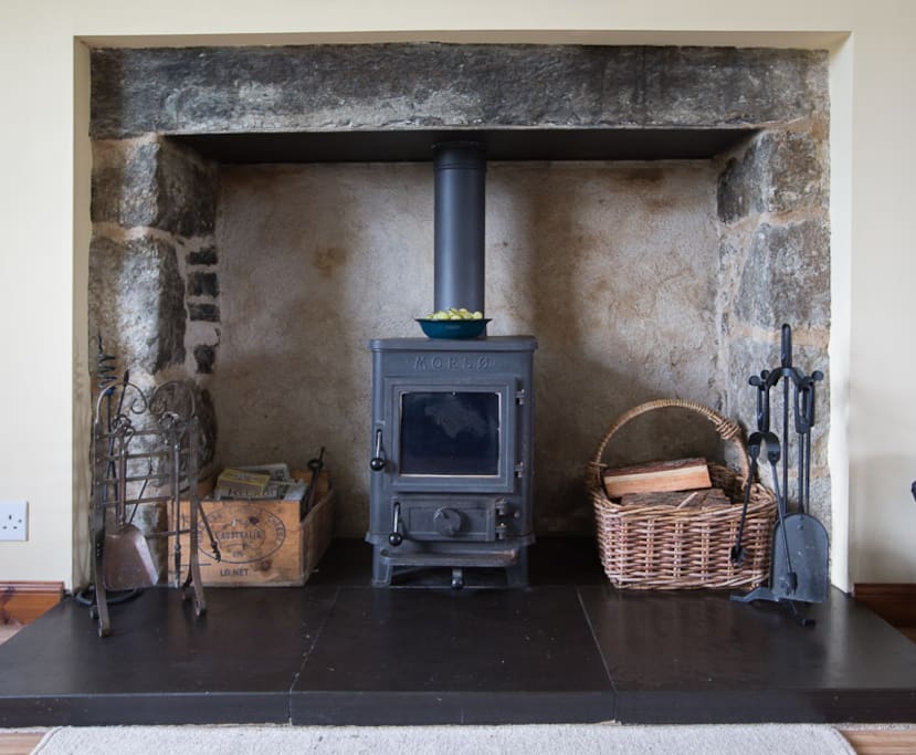 Wood burner in living room