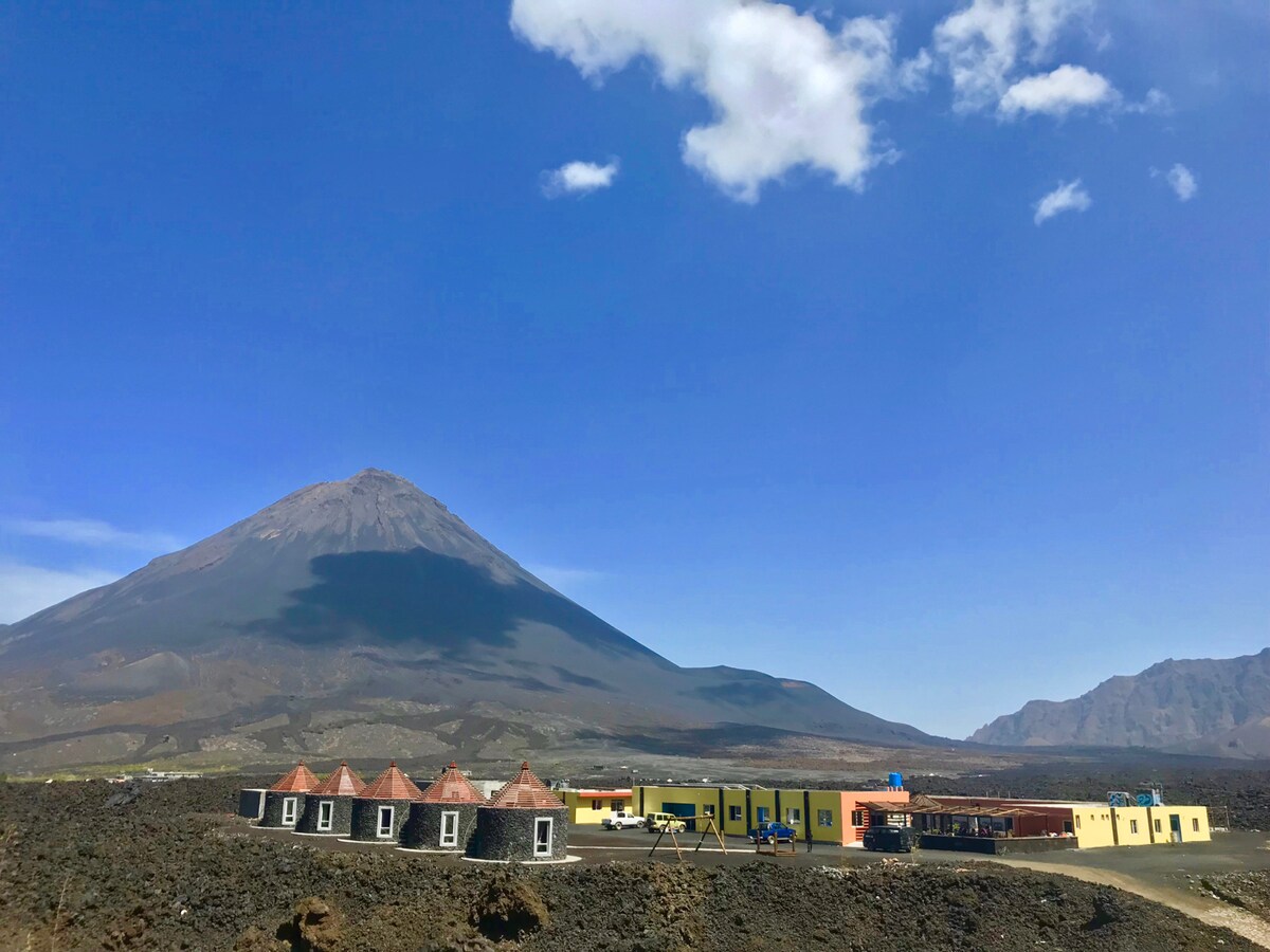 0cd88681-b537-4320-b233-