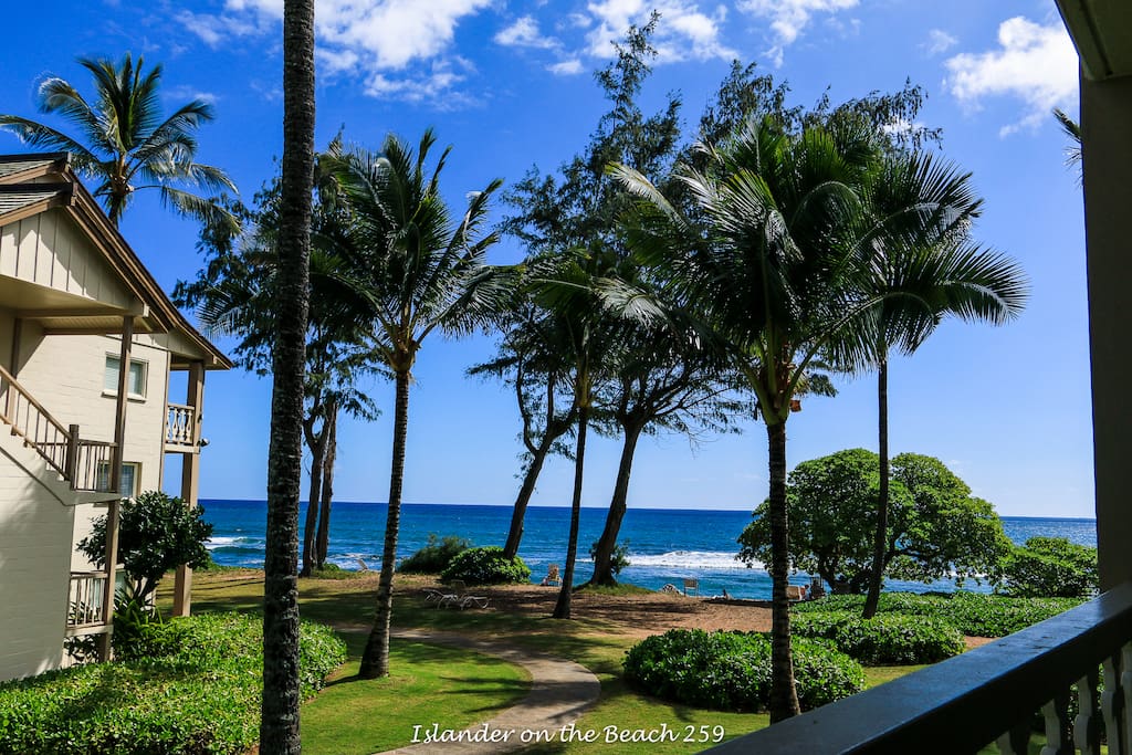 Stunning ocean views from Islander on the Beach
