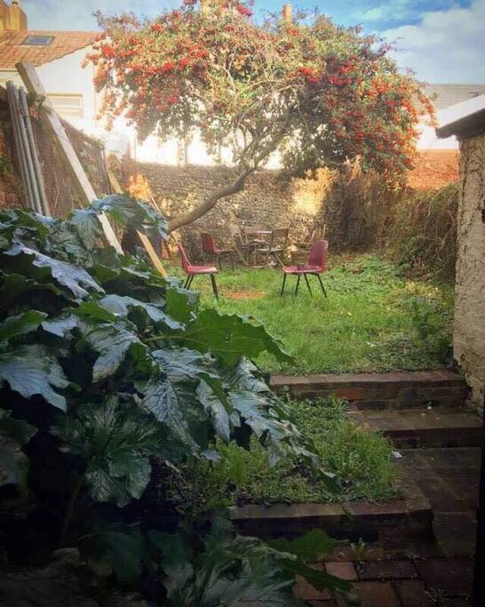 Back garden view from room