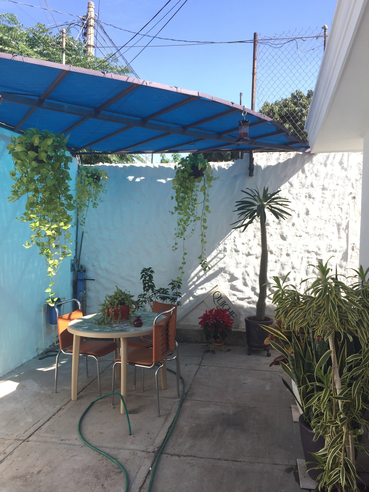 A shaded outdoor area is presented, featuring a round table with four chairs surrounded by various potted plants. Green vines hang from the blue canopy, and the walls are painted in a soft pastel hue, creating a serene environment.