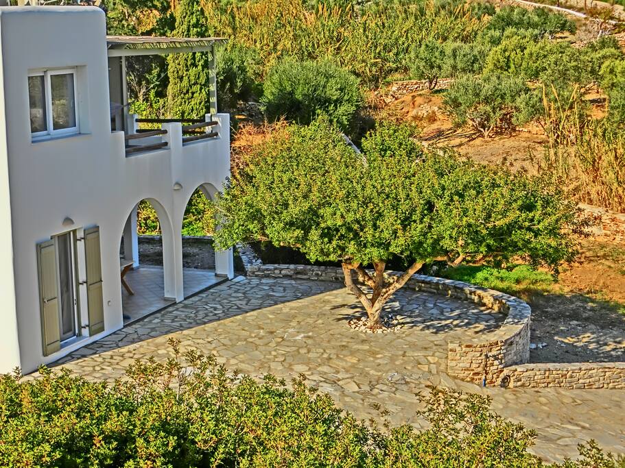 Skinos Tree House