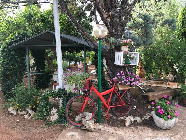 Lu sole, lu mare, lu ientu gallery image 3