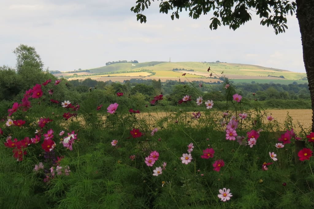 View from Studio Summer 2017