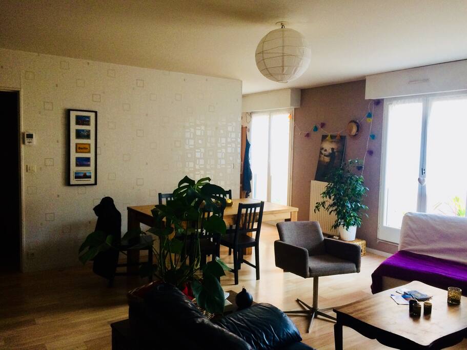 espace salon/salle à manger