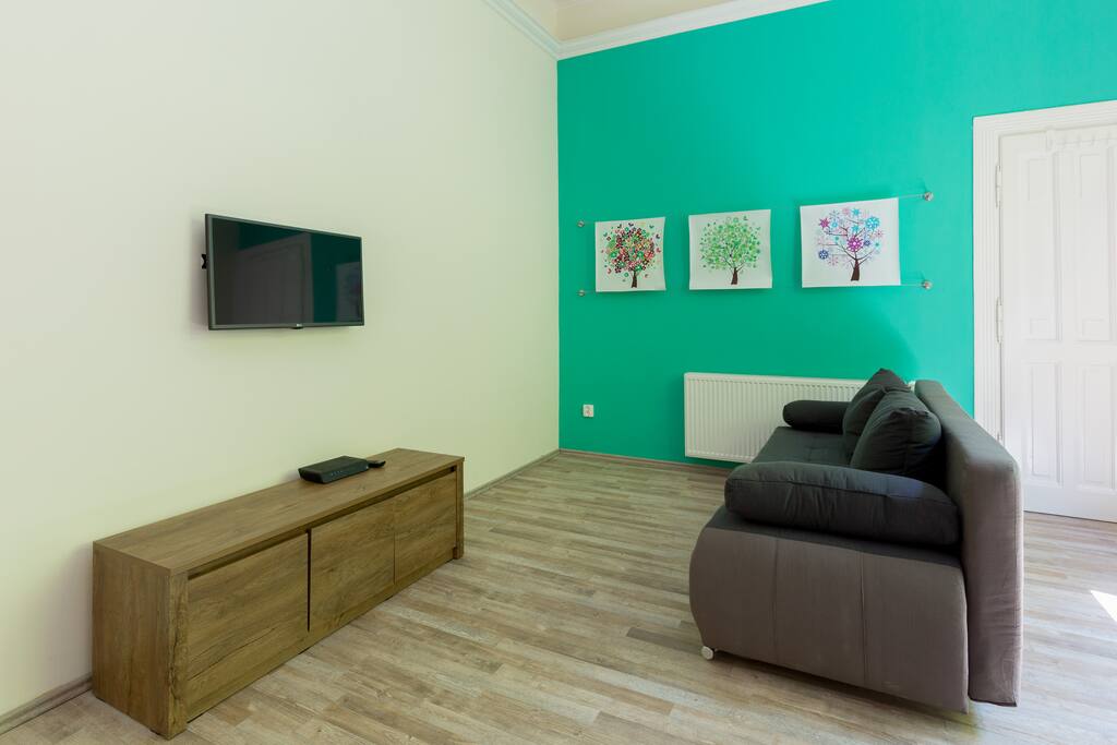 Big Living room open space