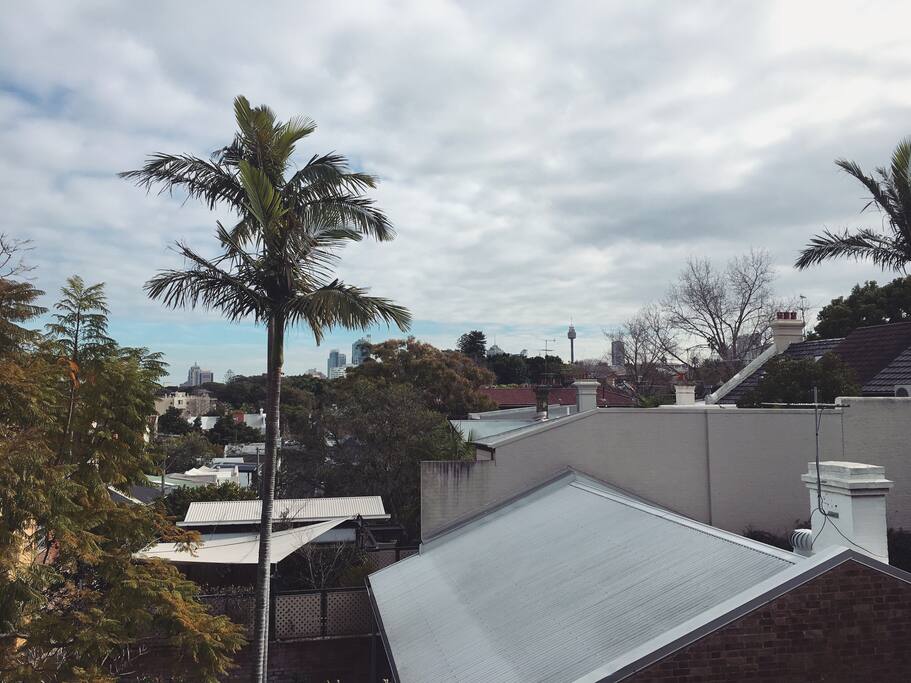 Elevated Views from the Kitchen