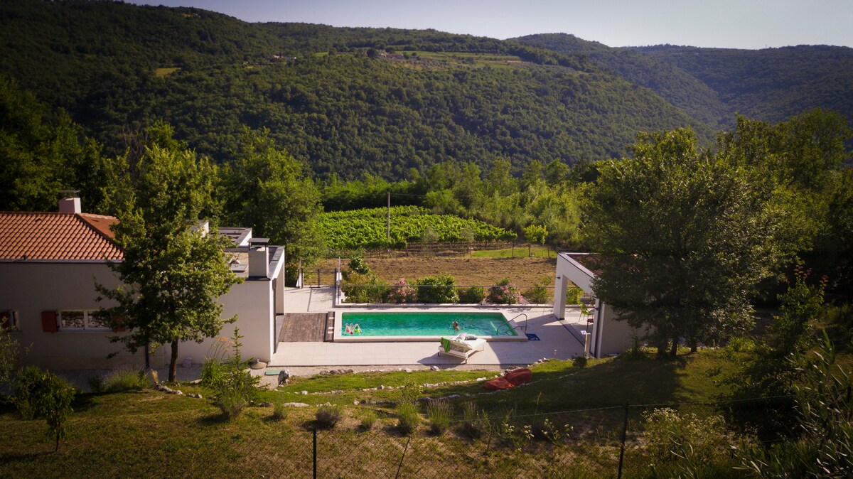 The villa is surrounded by lush green hills, featuring a heated swimming pool in the foreground. Nearby, vineyards are visible, complementing the tranquil outdoor space designed for relaxation. The area is marked by a serene atmosphere and natural beauty, enhancing the overall appeal.