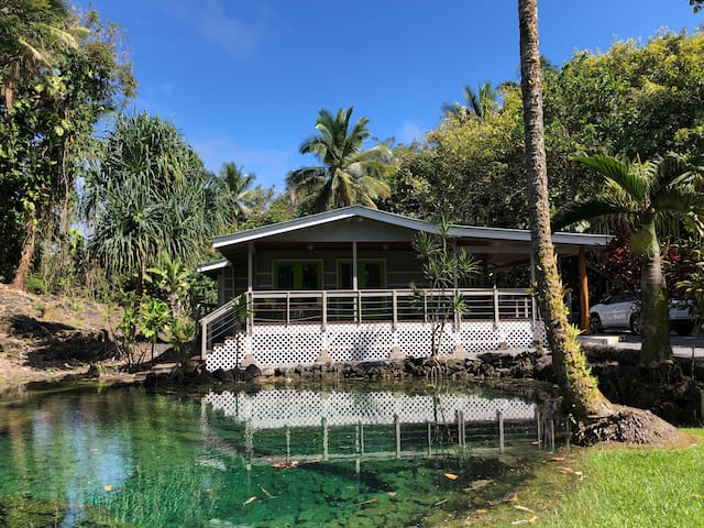 Wai ‘Olena – “Healing Ponds”