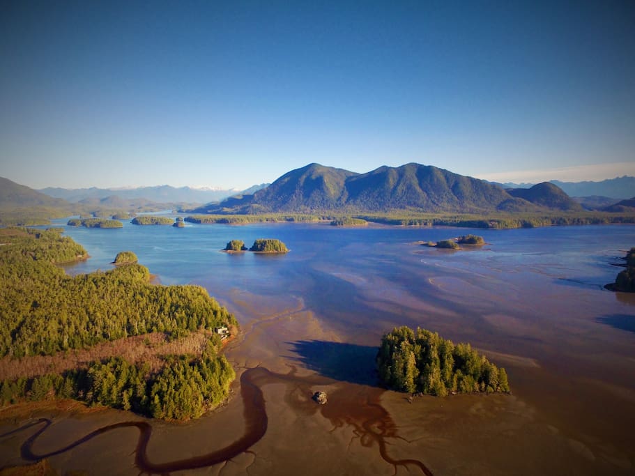 The incredible view of Meares Island from above Cedarwood Cove!