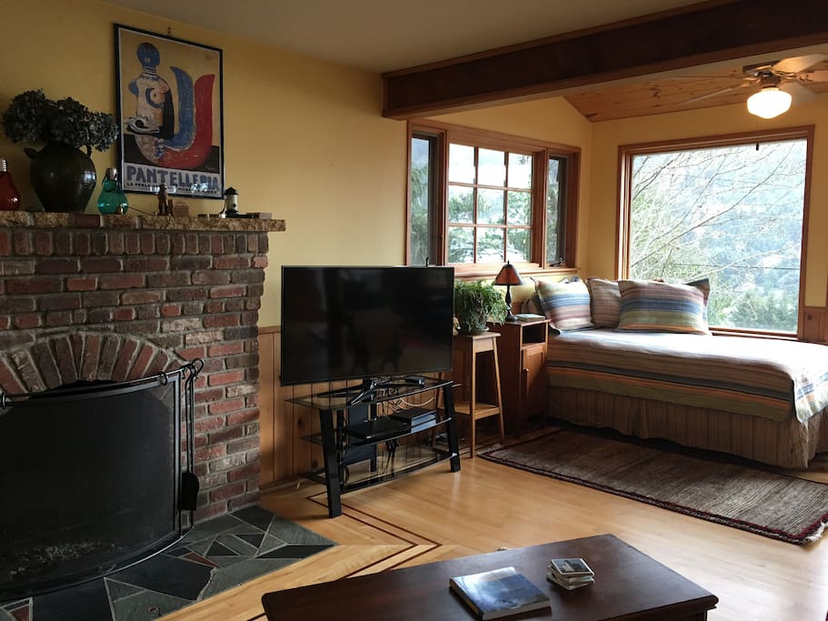 Fireplace and TV