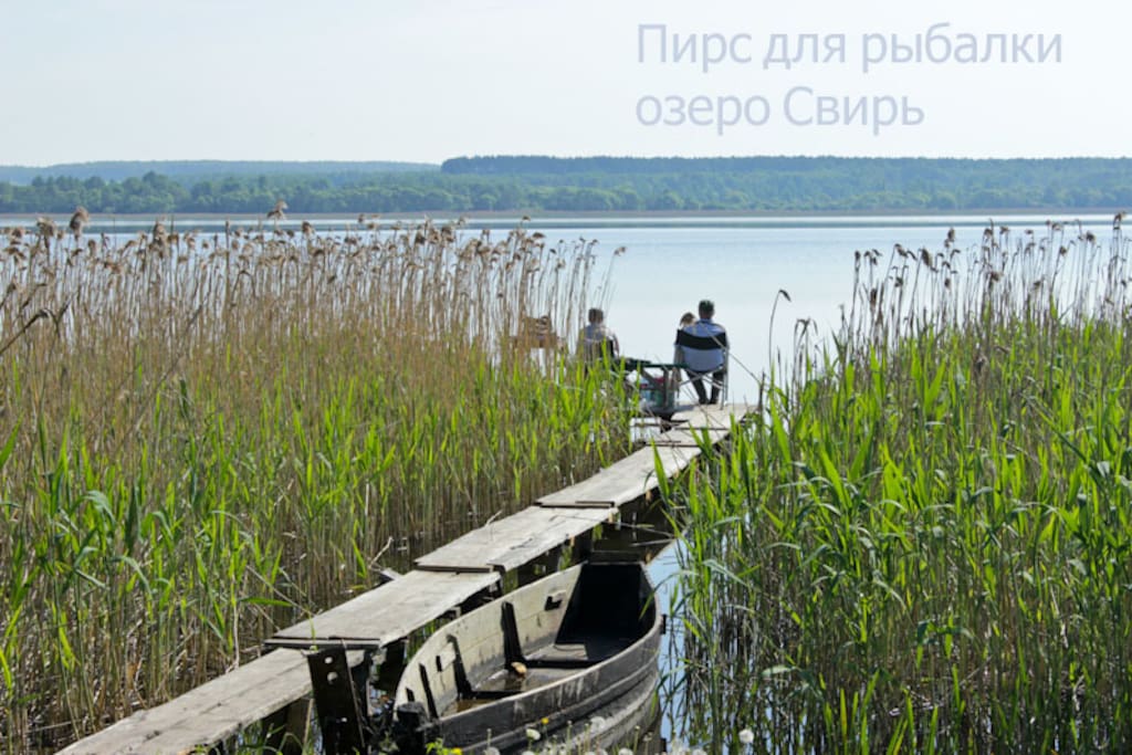 Вид на озеро Свирь возле дома\View of Svir lake near the house