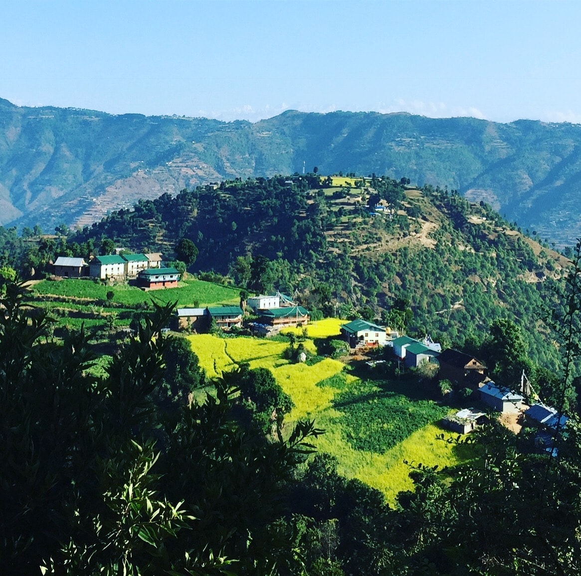 A panoramic view of the lush green hillside is captured, showcasing a village nestled amongst vibrant fields of yellow and green crops. Rolling mountains provide a stunning backdrop against a clear blue sky.