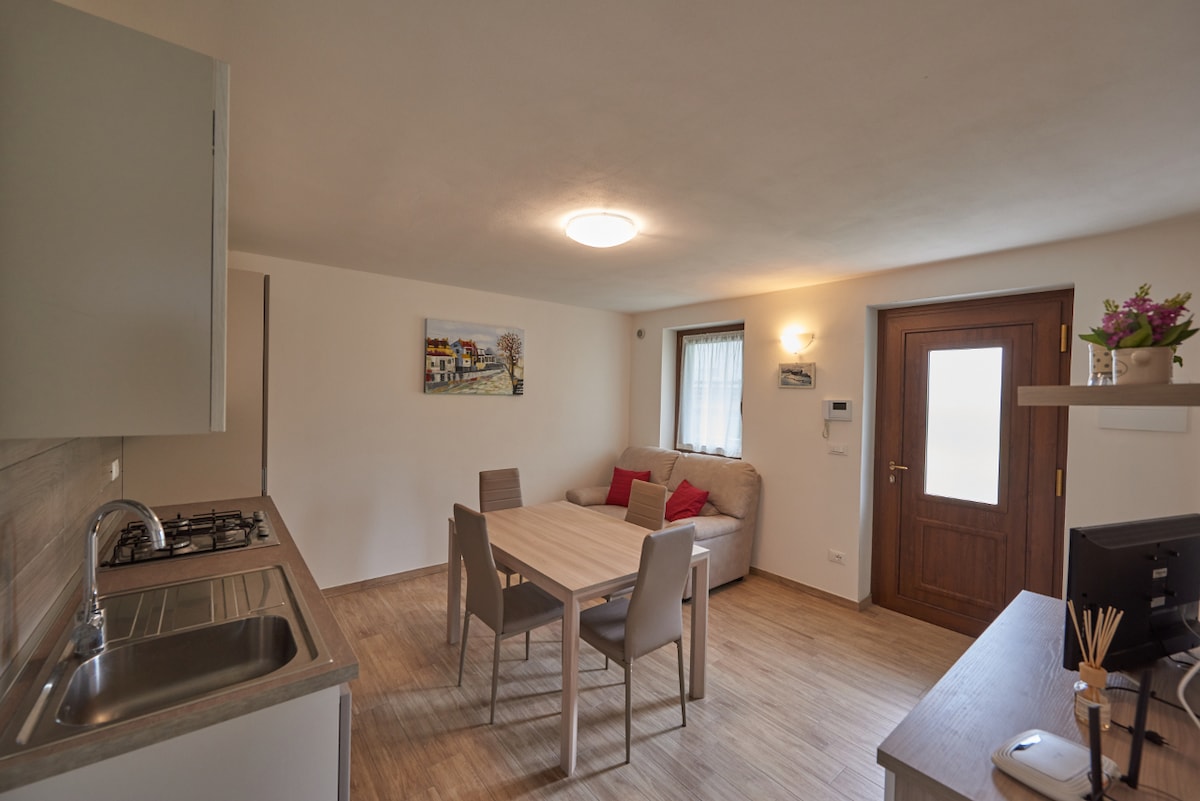The living area features a dining table surrounded by four chairs, a sofa positioned against the wall, and a kitchenette with a sink and stove. A door leads to the outside, and a window illuminates the space, providing a welcoming ambiance.