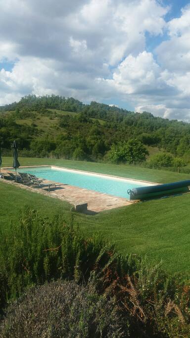 A pool with a splendid view