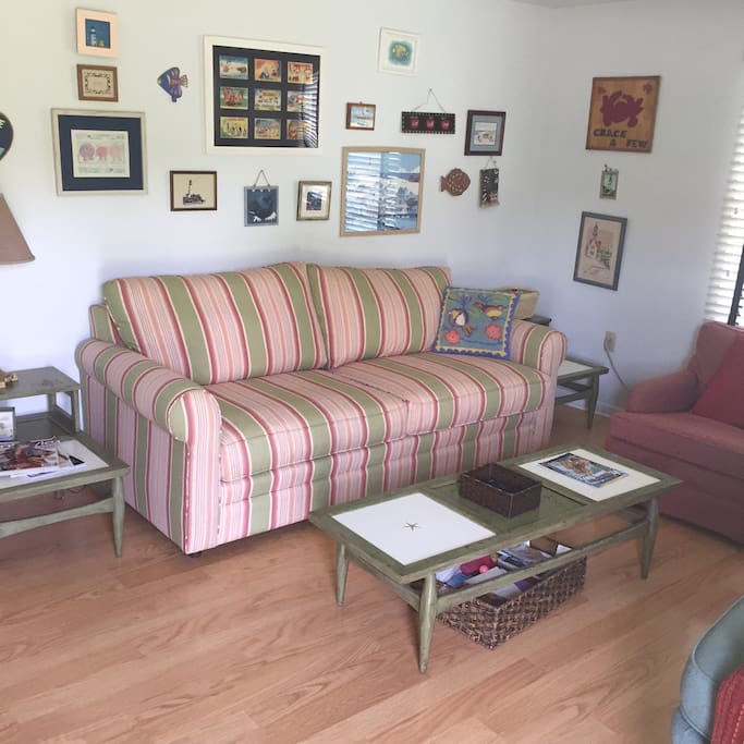 Living Room with large Flat Screen TV