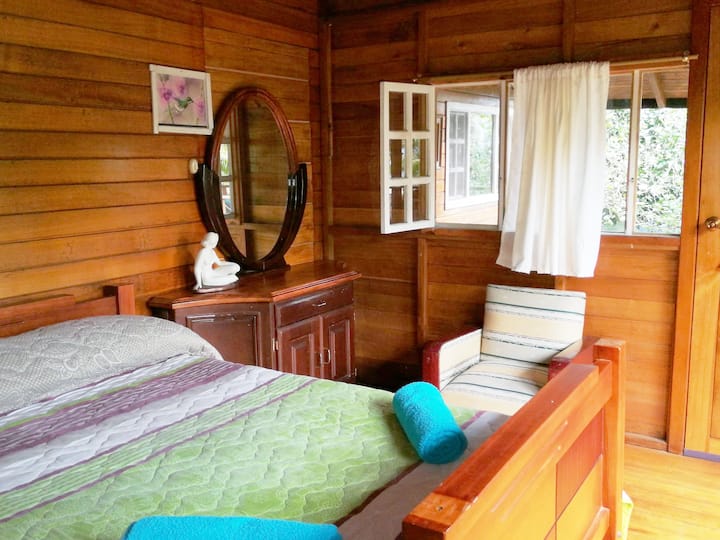 Chambre 5