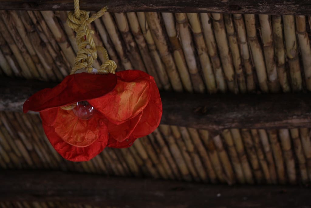 The flower lamp handmade by Terranegra.