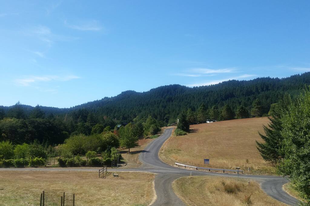 Adjacent forest with hiking trails