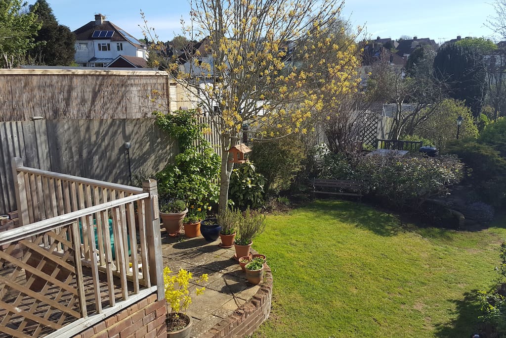 The garden
