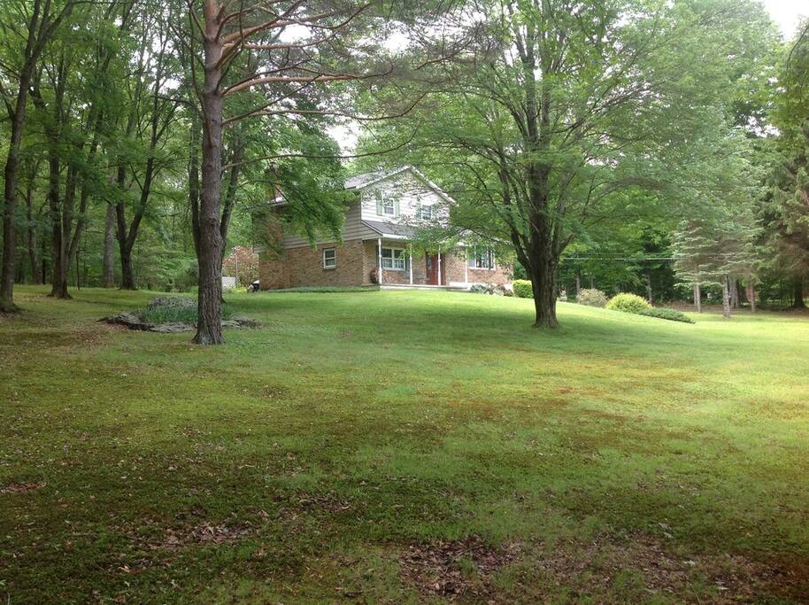 Front Yard