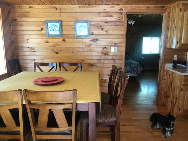 Large Pine Cottage gallery image 2