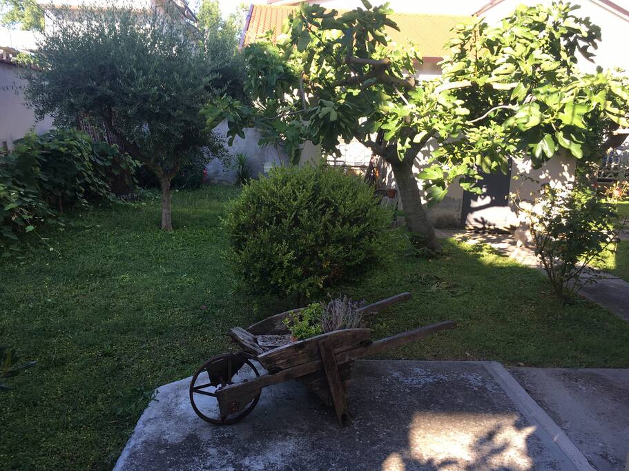 Vista di una parte del giardino/Garden View