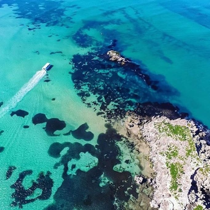 Here is an over view of the local Shoalwater bay with the Penguin Island Ferry .