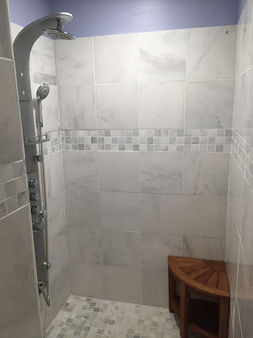 Custom shower w/massage unit