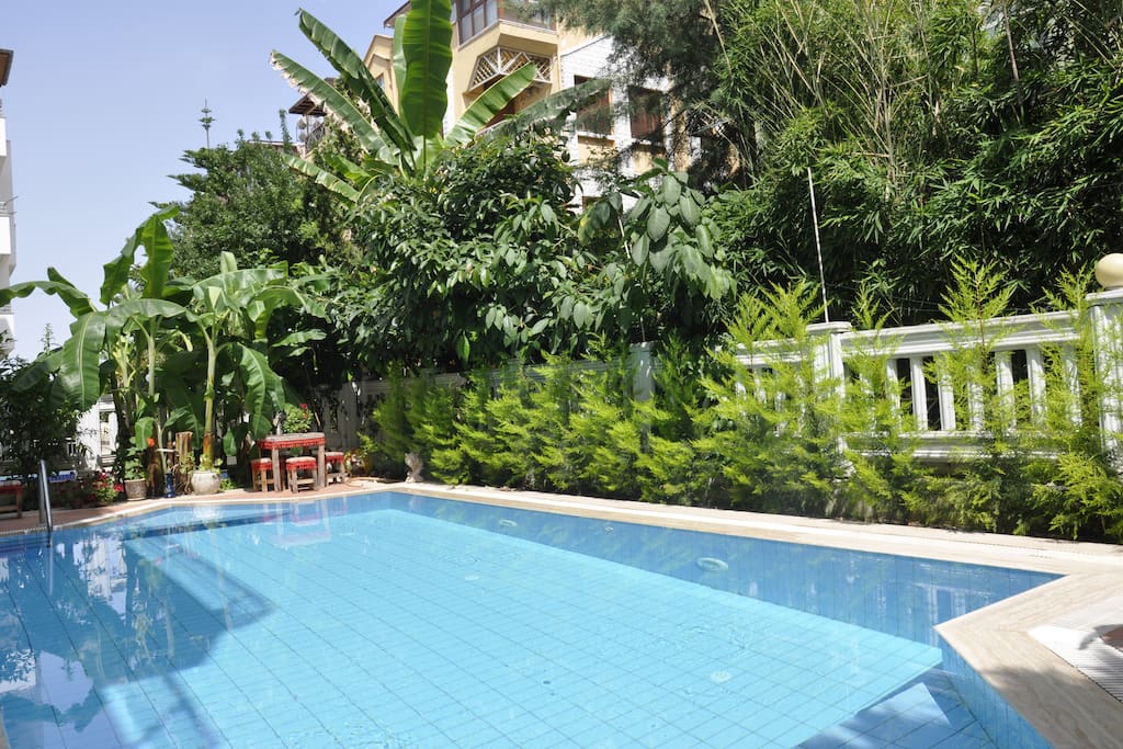 Garden and swimming pool