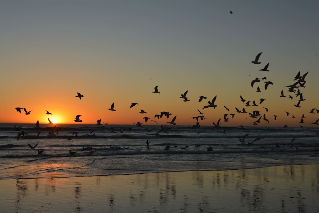 beautiful sunsets every day