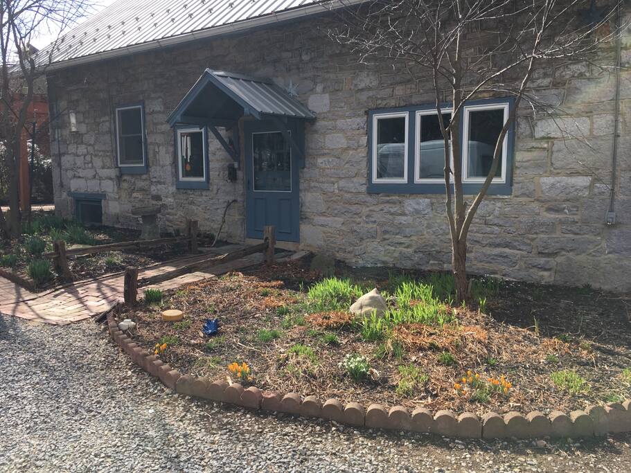 March flowers beginning to bloom in the front of the cottage