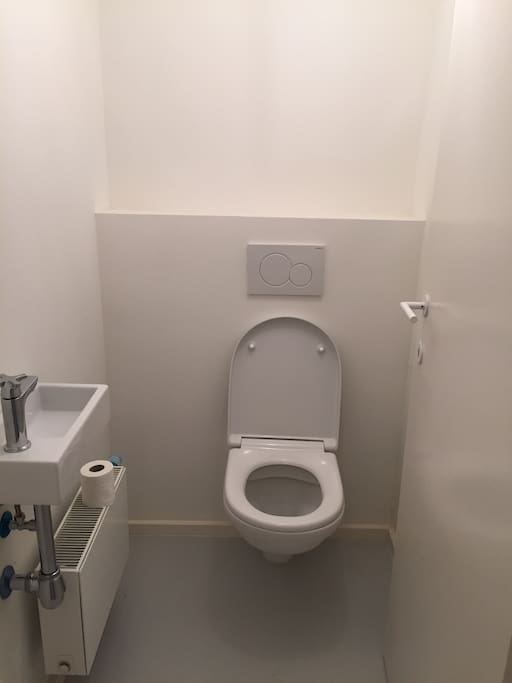 Separated toilet