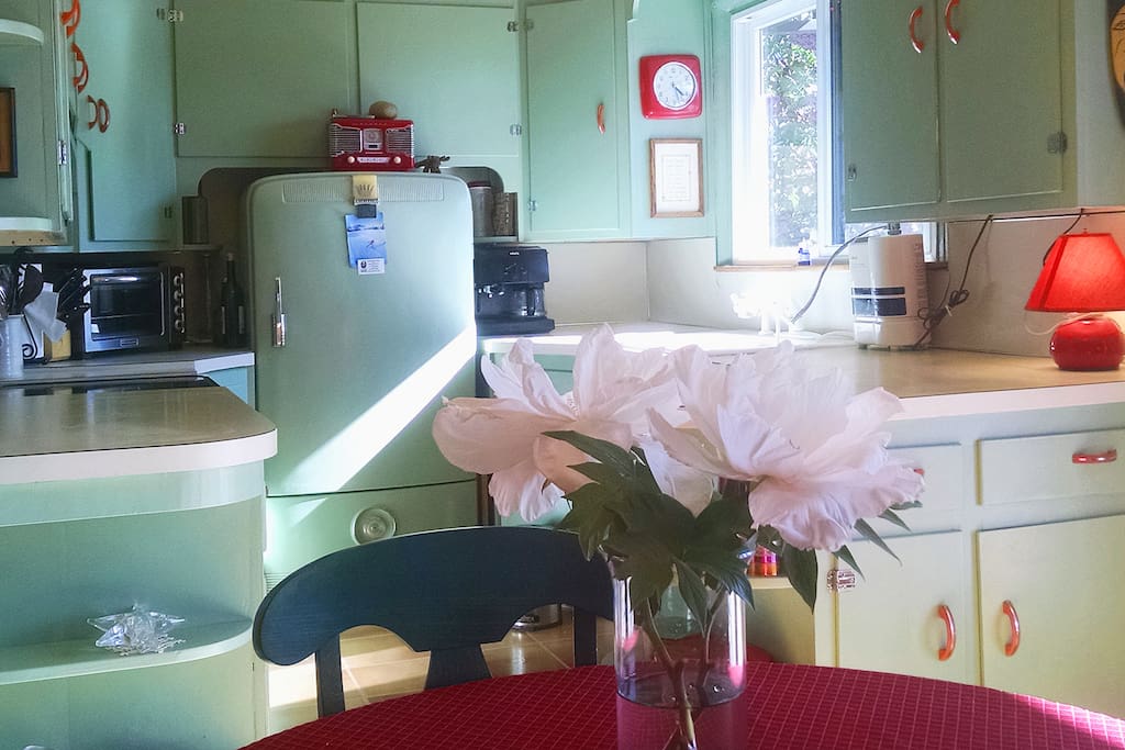 Kitchen - retro design.