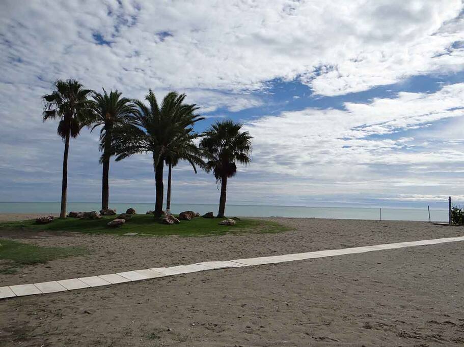 Near the Beach/Cerca de la playa